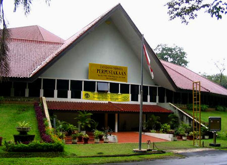 Университет в Индонезии